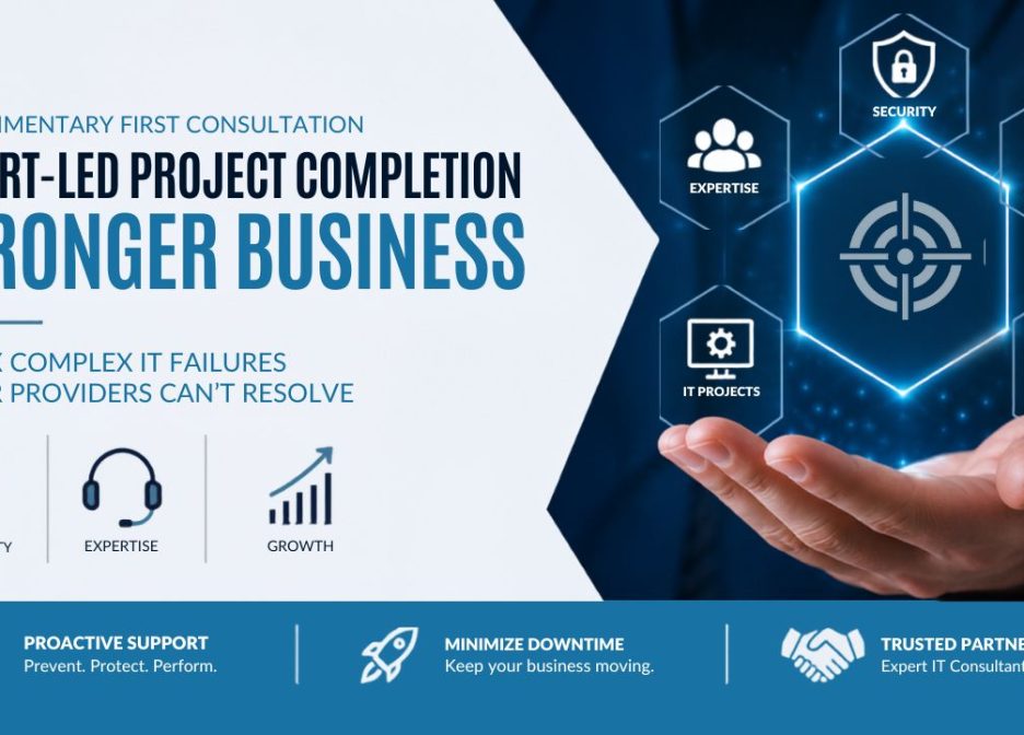 IT Expert Consultants